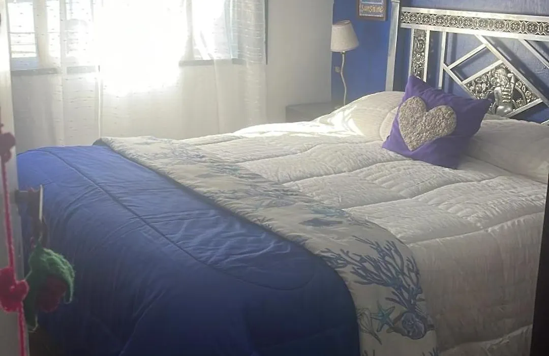Vivi'S House-1
